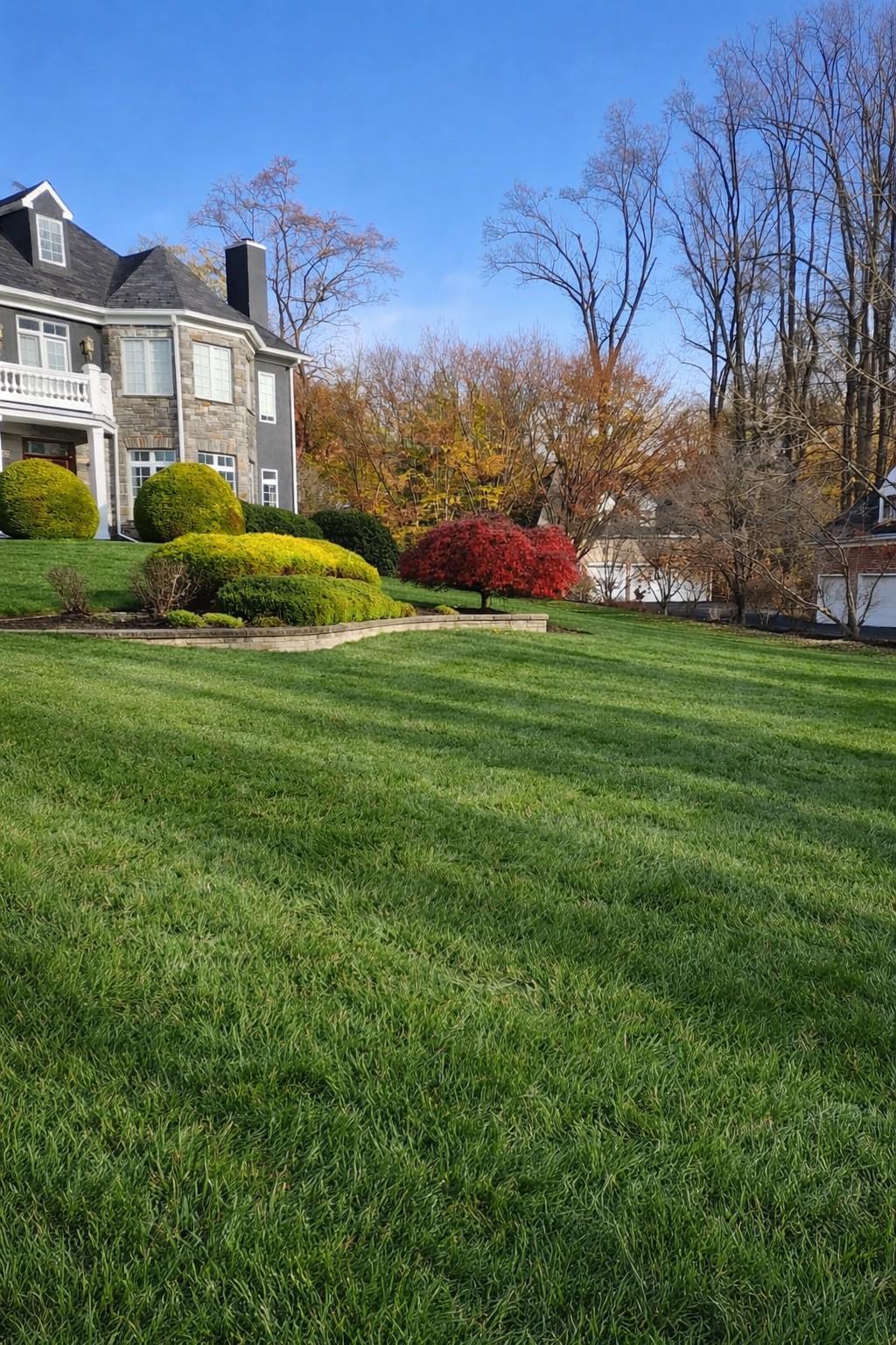 Ariana’s Lawn Care project from the original gallery