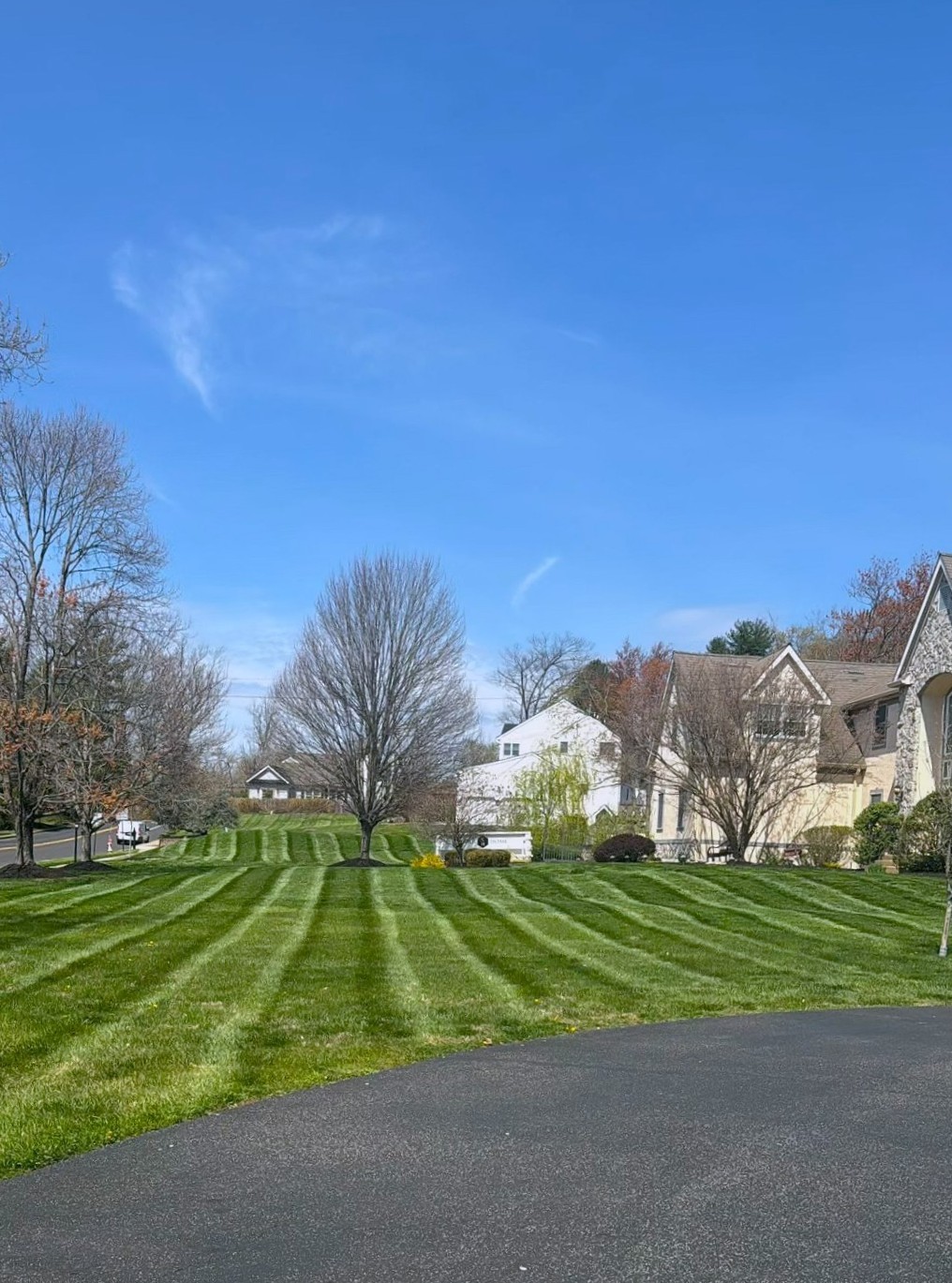 Freshly mowed lawn with clean mowing stripes from Ariana’s project gallery